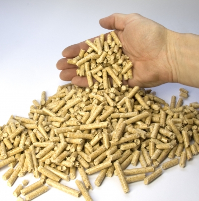 Holzpellets Sachsen